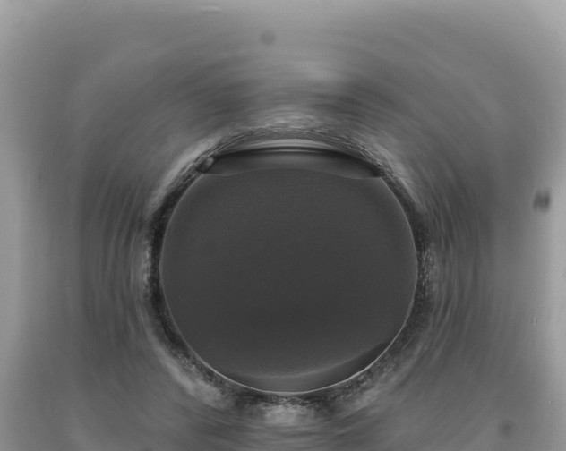 X0000093740400200710231216