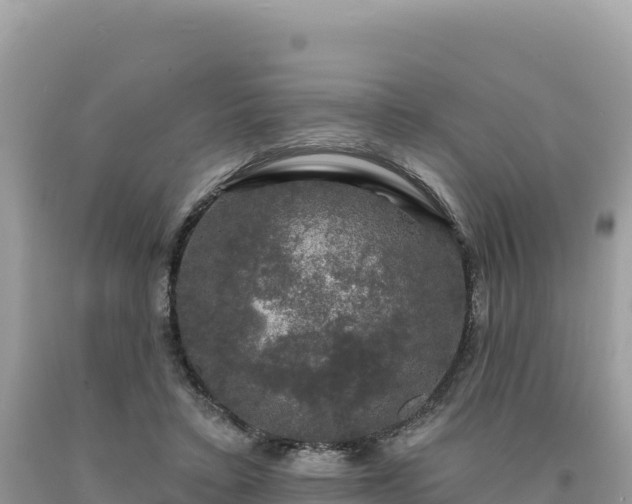 X0000093740403200710231216