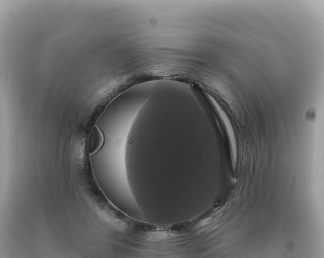 X0000093740404200710231216