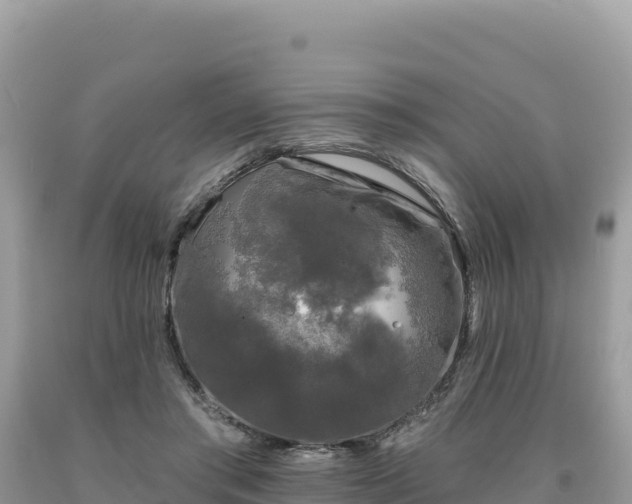 X0000093740405200710231216