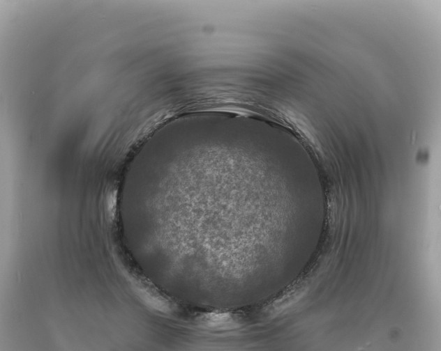 X0000093740406200710231216