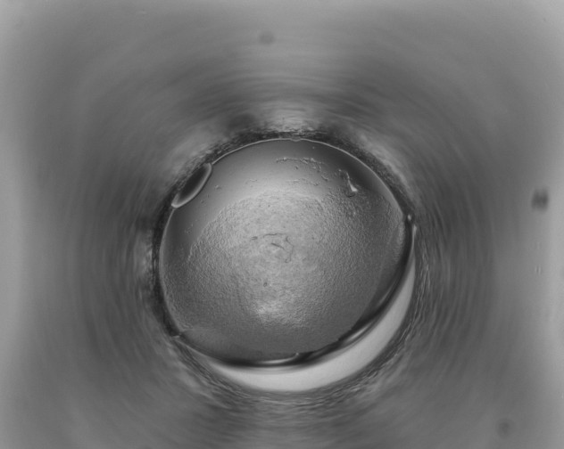 X0000093740407200710231216