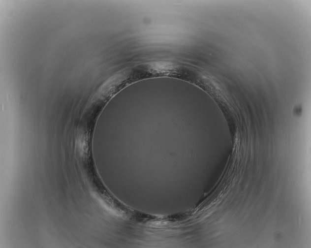 X0000093740408200710231216