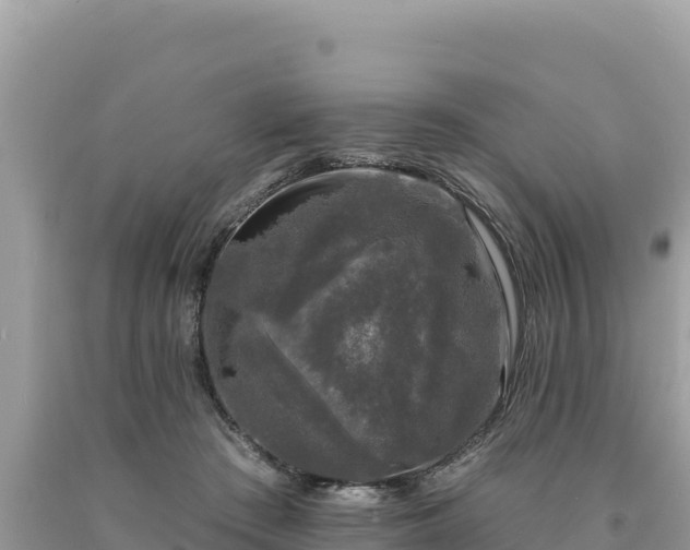 X0000093740409200710231216