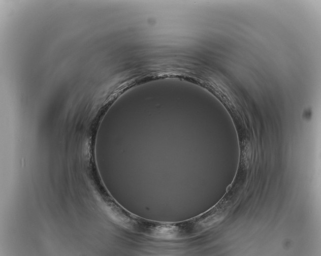 X0000093740410200710231215