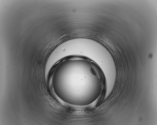 X0000093740413200710231215