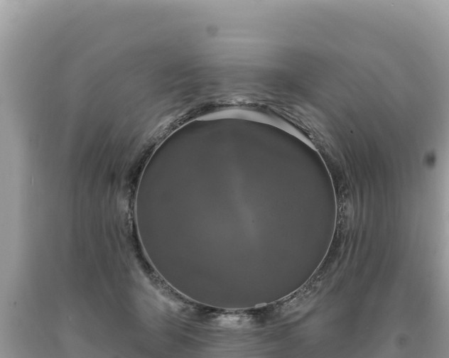 X0000093740415200710231215