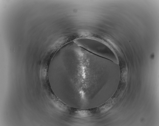 X0000093740417200710231215