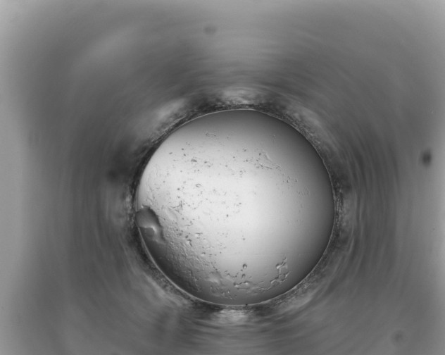 X0000093740418200710231215