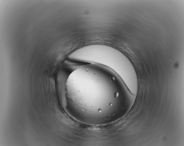 X0000093740419200710231215