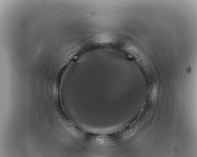 X0000093740420200710231215