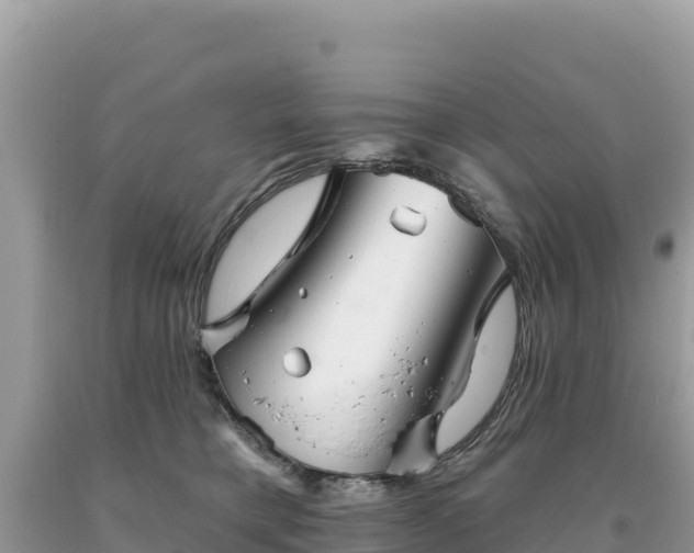 X0000093740421200710231215