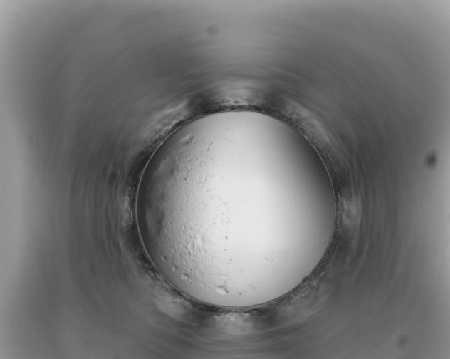 X0000093740422200710231215