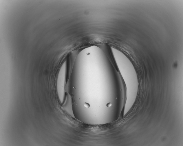 X0000093740423200710231215