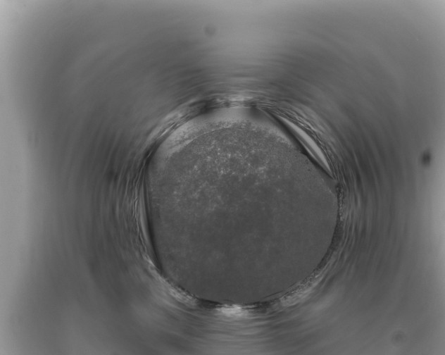 X0000093740425200710231215