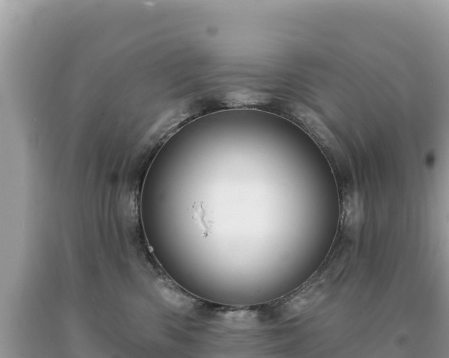 X0000093740426200710231215