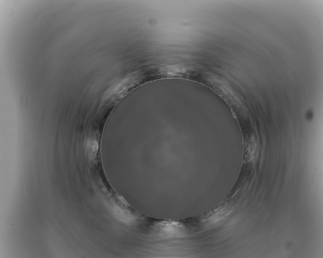 X0000093740427200710231215