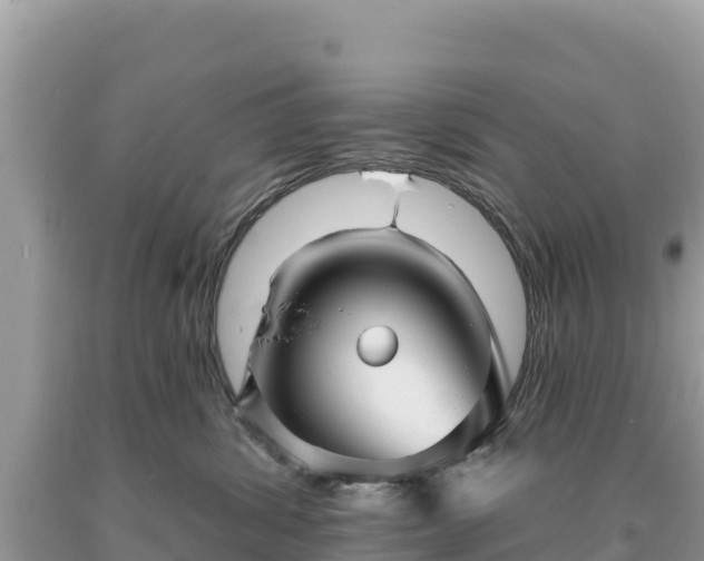 X0000093740428200710231215