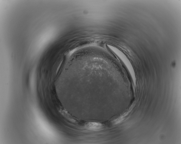 X0000093740429200710231215