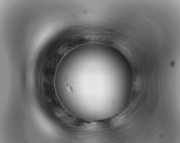 X0000093740430200710231215