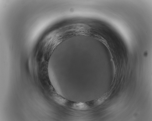 X0000093740431200710231215