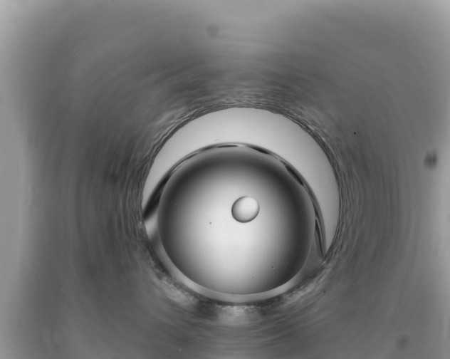 X0000093740432200710231215