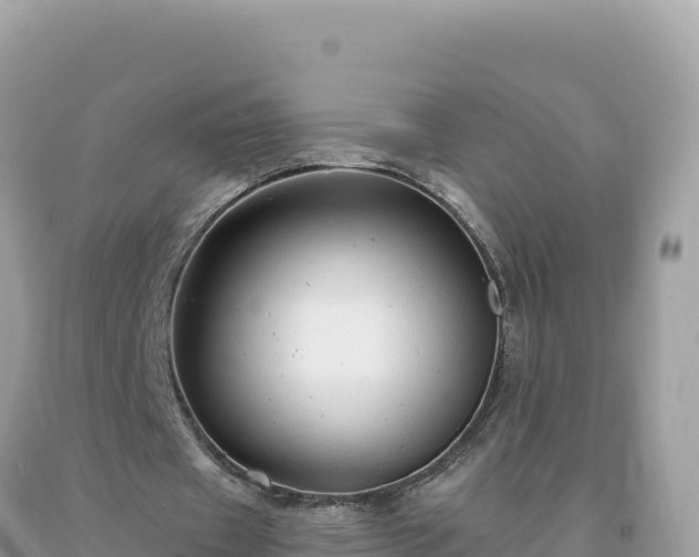 X0000093740433200710231215