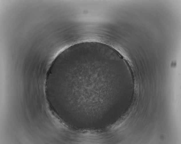 X0000093740434200710231215