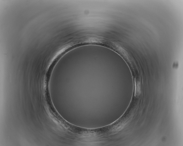 X0000093740435200710231215