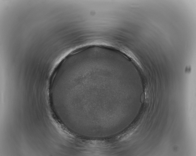 X0000093740436200710231215