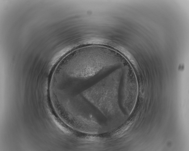 X0000093740437200710231215