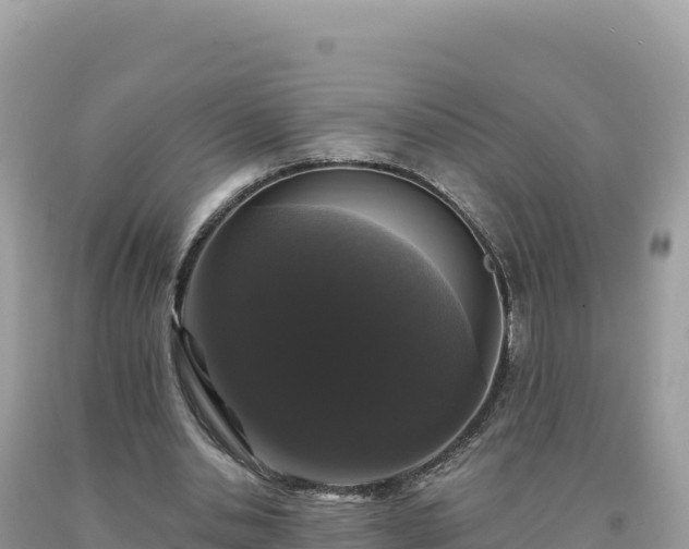 X0000093740438200710231215