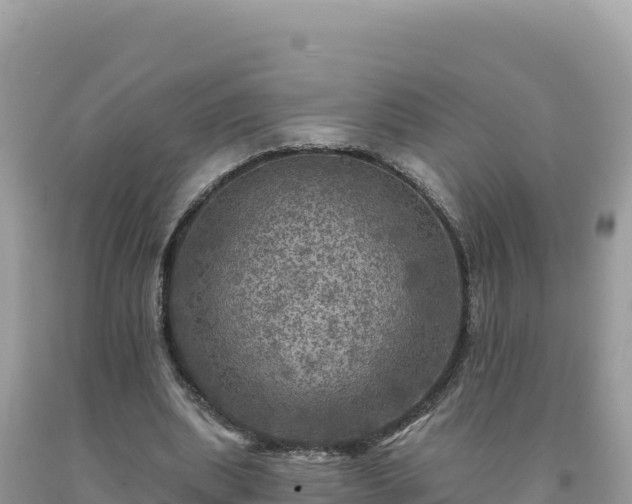 X0000093740439200710231215