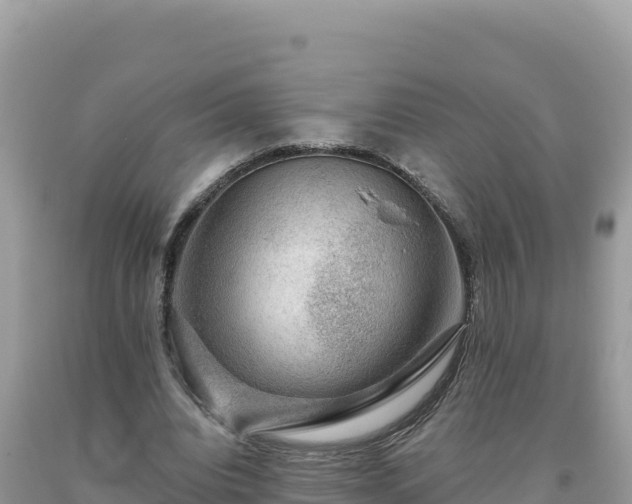 X0000093740440200710231215