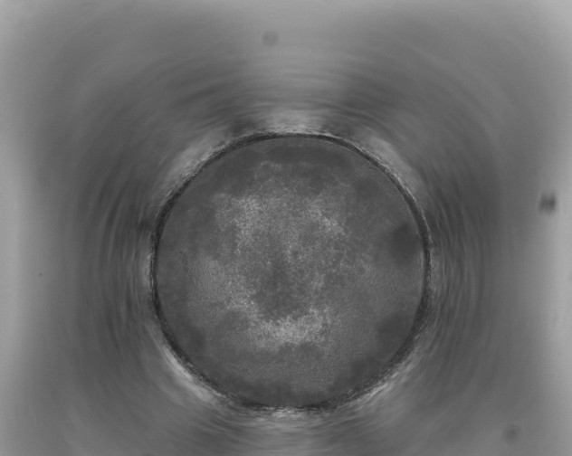 X0000093740441200710231215