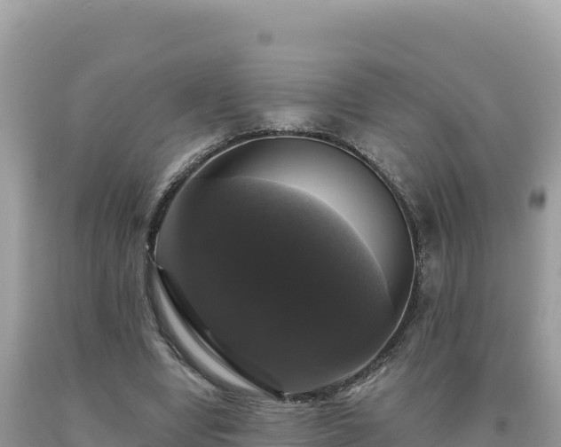 X0000093740442200710231215