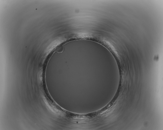 X0000093740443200710231215