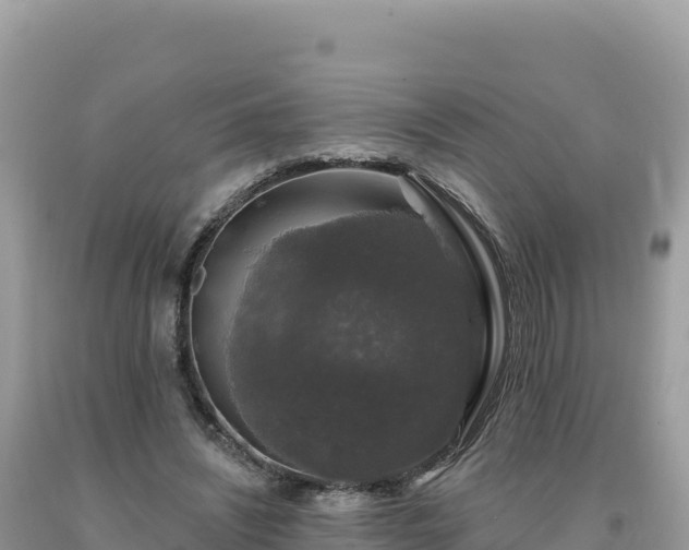 X0000093740444200710231215