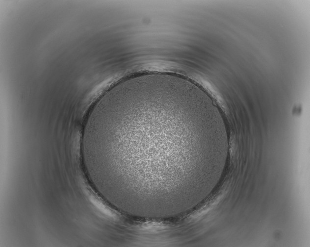 X0000093740445200710231215