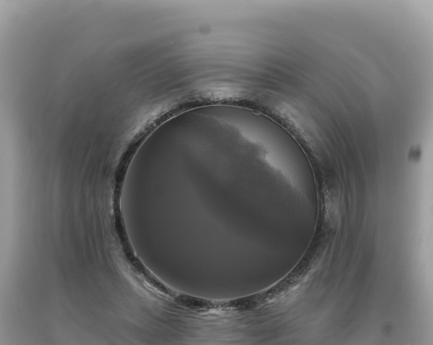 X0000093740447200710231215