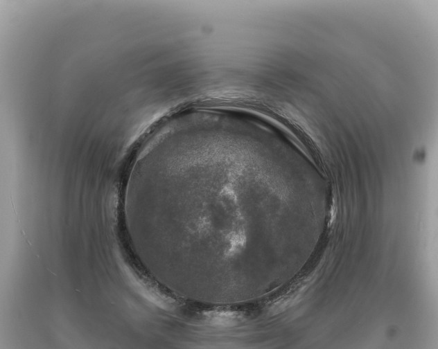 X0000093740448200710231215