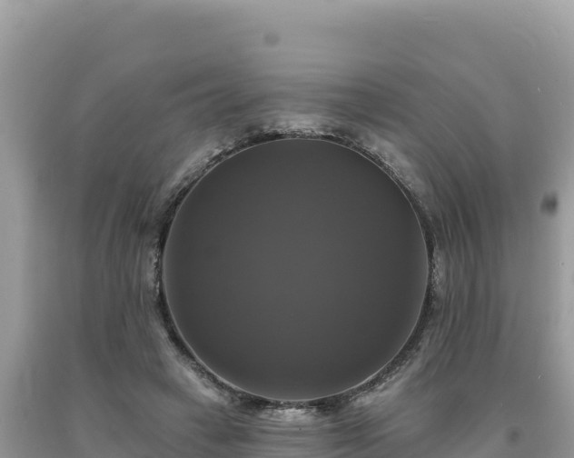 X0000093740449200710231215