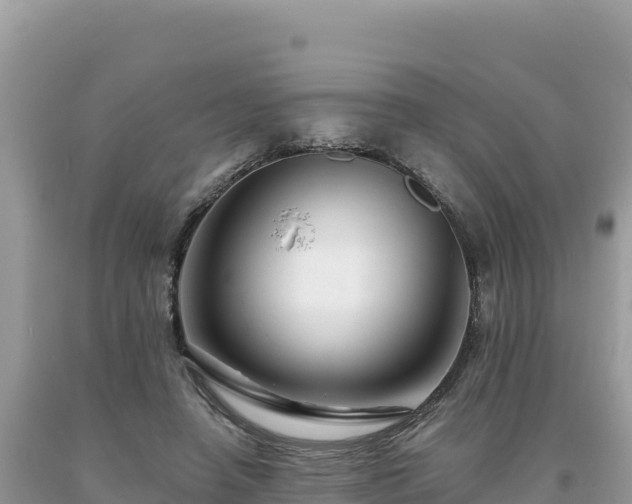 X0000093740450200710231215