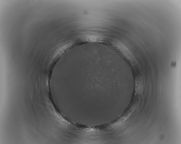 X0000093740453200710231215