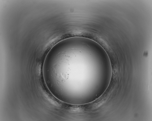 X0000093740454200710231215