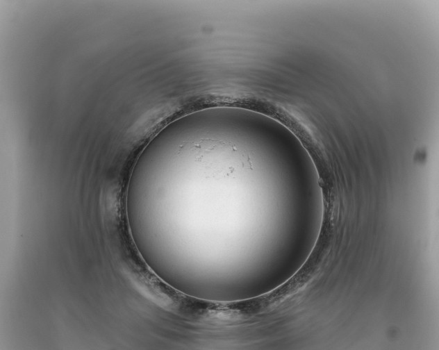 X0000093740455200710231215