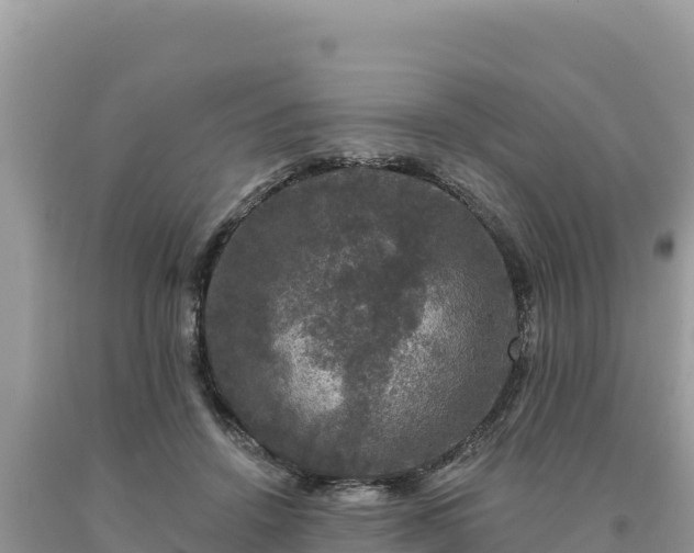 X0000093740456200710231215