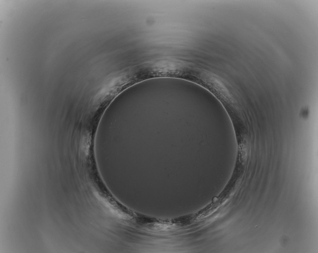 X0000093740458200710231215