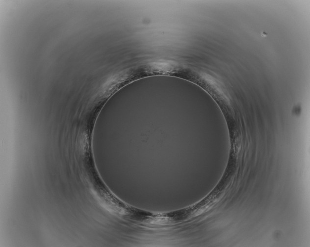 X0000093740459200710231215