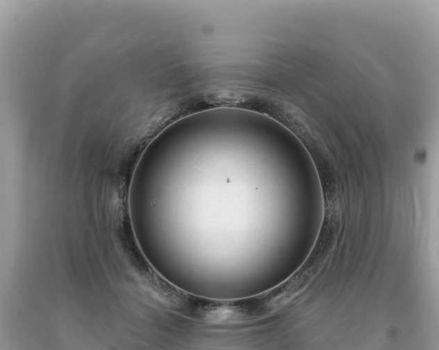 X0000093740460200710231215